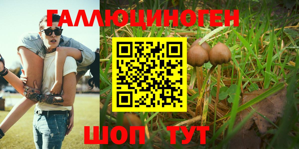 Якутск  Псилоцибиновые грибы Psilocybine cubensis  Вход с VPN  Псилоцибиновые грибы Psilocybine cubensis 
